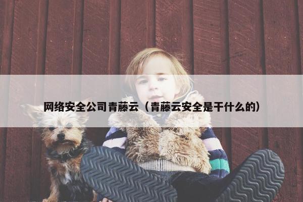 网络安全公司青藤云（青藤云安全是干什么的）