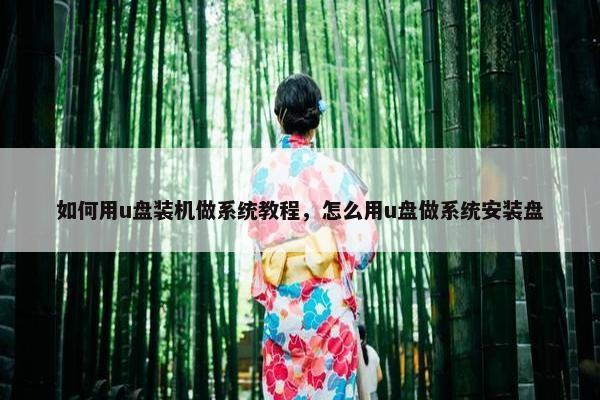 如何用u盘装机做系统教程，怎么用u盘做系统安装盘