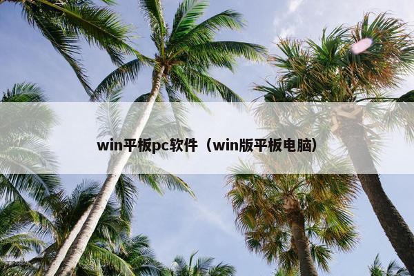 win平板pc软件（win版平板电脑）
