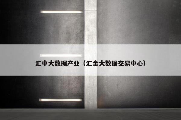 汇中大数据产业（汇金大数据交易中心）