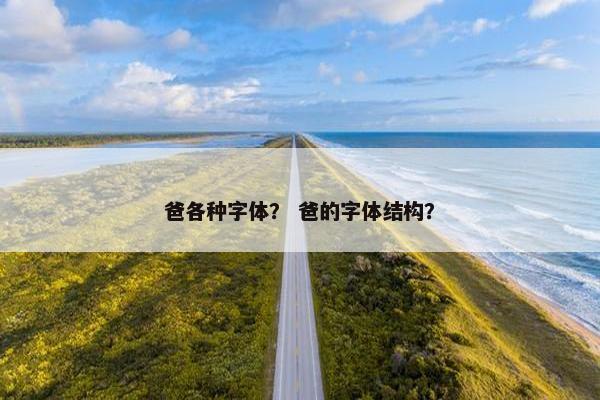 爸各种字体？ 爸的字体结构？