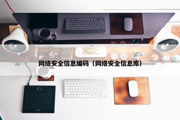 网络安全信息编码（网络安全信息库）