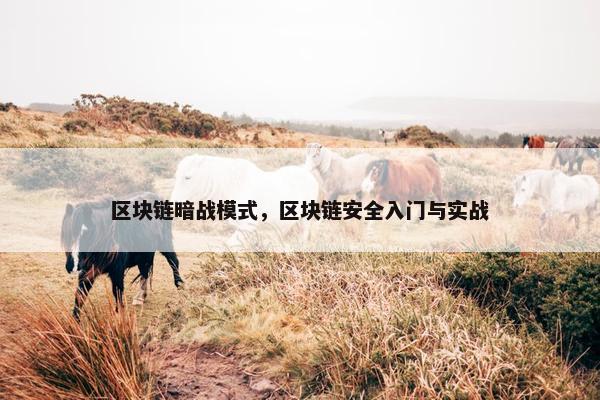 区块链暗战模式，区块链安全入门与实战