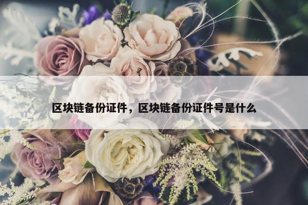 区块链备份证件，区块链备份证件号是什么