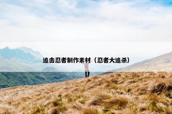 追击忍者制作素材（忍者大追杀）