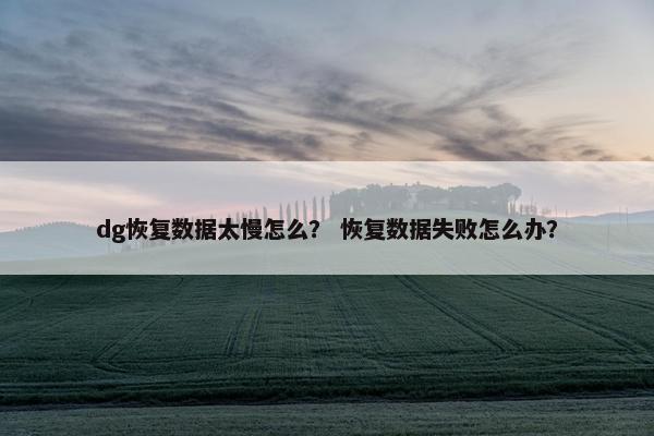 dg恢复数据太慢怎么？ 恢复数据失败怎么办？