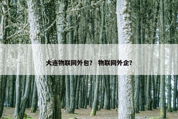 大连物联网外包？ 物联网外企？