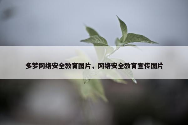多梦网络安全教育图片，网络安全教育宣传图片
