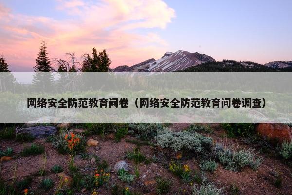 网络安全防范教育问卷（网络安全防范教育问卷调查）