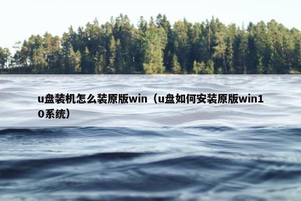 u盘装机怎么装原版win（u盘如何安装原版win10系统）