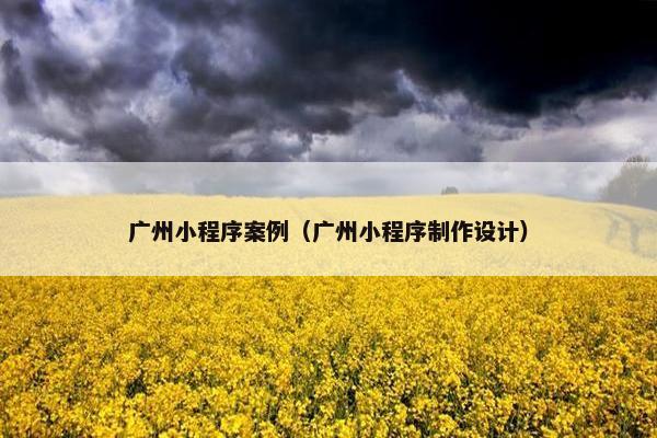 广州小程序案例（广州小程序制作设计）