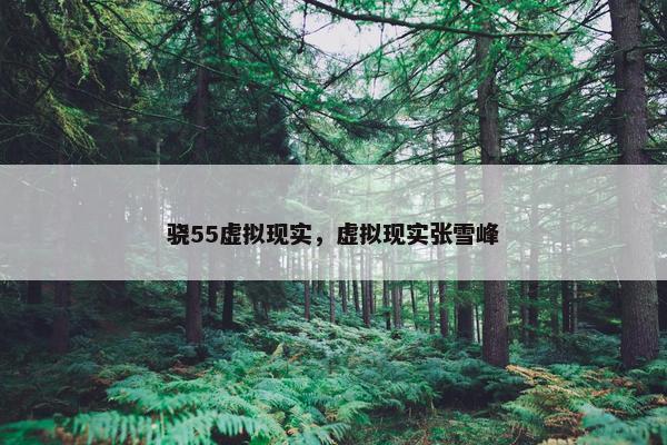 骁55虚拟现实，虚拟现实张雪峰