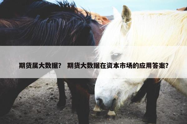 期货属大数据？ 期货大数据在资本市场的应用答案？