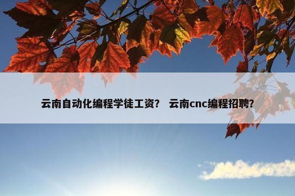 云南自动化编程学徒工资？ 云南cnc编程招聘？