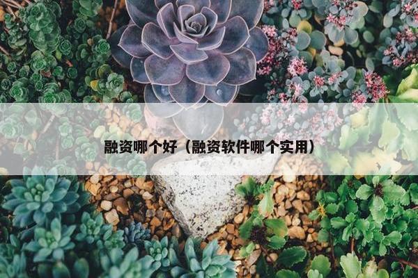 融资哪个好（融资软件哪个实用）