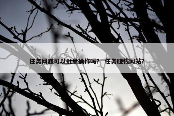 任务网赚可以批量操作吗？ 任务赚钱网站？