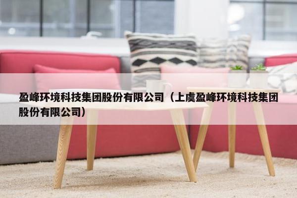 盈峰环境科技集团股份有限公司（上虞盈峰环境科技集团股份有限公司）