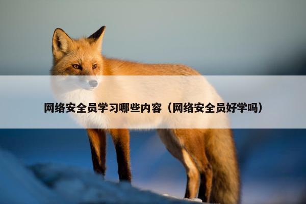 网络安全员学习哪些内容（网络安全员好学吗）