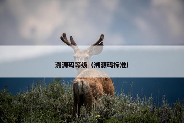 溯源码等级（溯源码标准）