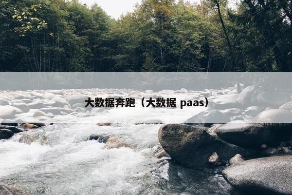 大数据奔跑（大数据 paas）