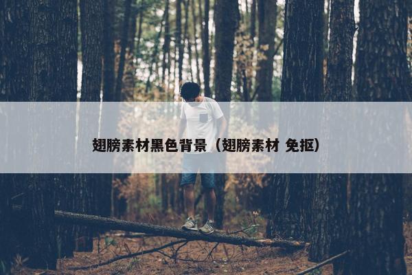 翅膀素材黑色背景（翅膀素材 免抠）