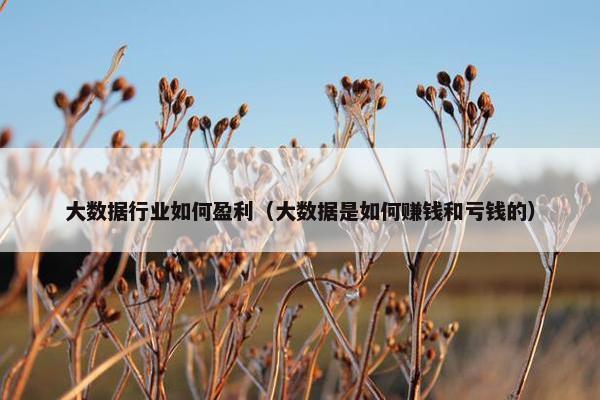 大数据行业如何盈利（大数据是如何赚钱和亏钱的）