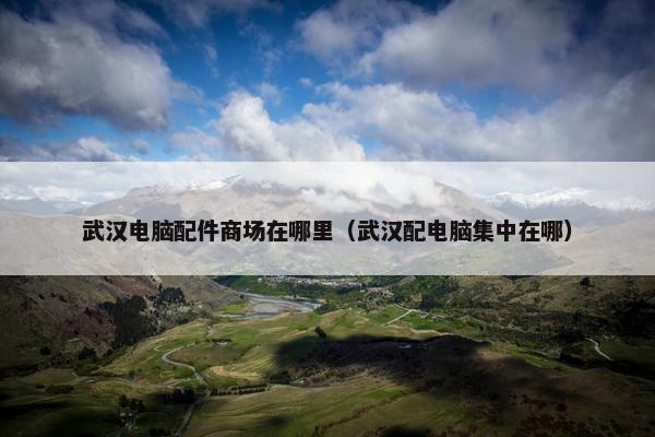 武汉电脑配件商场在哪里（武汉配电脑集中在哪）