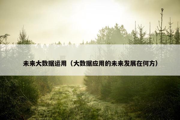 未来大数据运用（大数据应用的未来发展在何方）