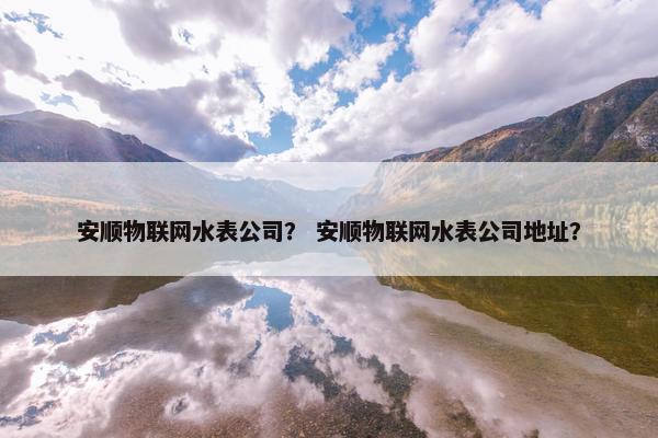 安顺物联网水表公司？ 安顺物联网水表公司地址？