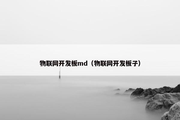 物联网开发板md（物联网开发板子）