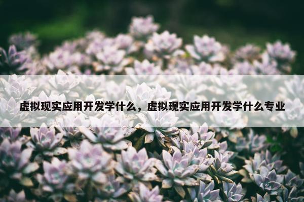 虚拟现实应用开发学什么，虚拟现实应用开发学什么专业