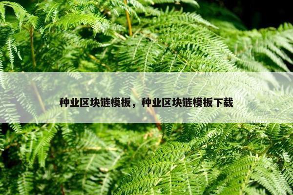 种业区块链模板，种业区块链模板下载