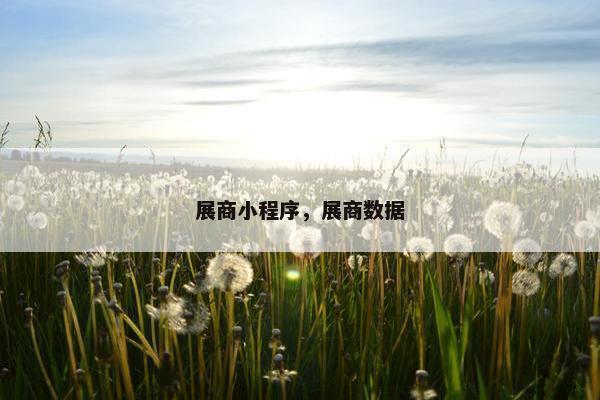 展商小程序，展商数据