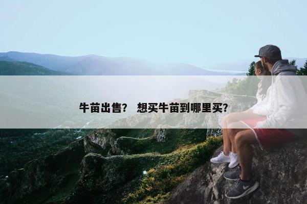 牛苗出售？ 想买牛苗到哪里买？