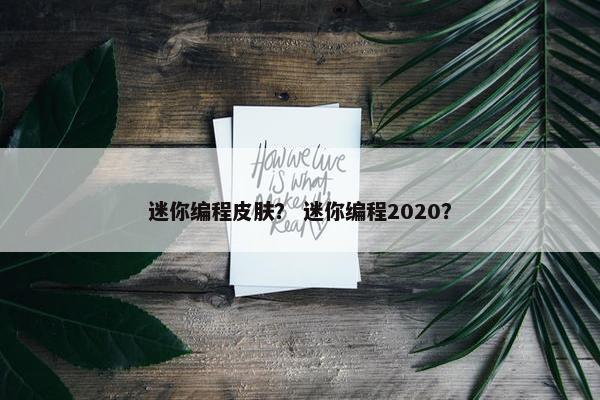 迷你编程皮肤？ 迷你编程2020？