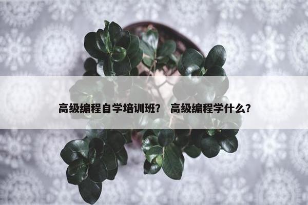 高级编程自学培训班？ 高级编程学什么？