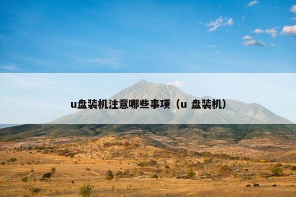 u盘装机注意哪些事项（u 盘装机）