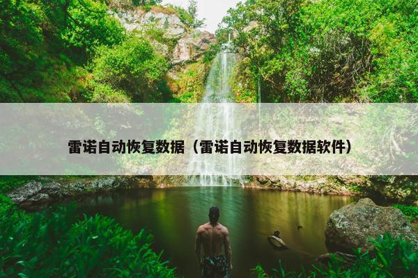 雷诺自动恢复数据（雷诺自动恢复数据软件）