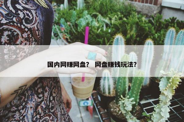 国内网赚网盘？ 网盘赚钱玩法？