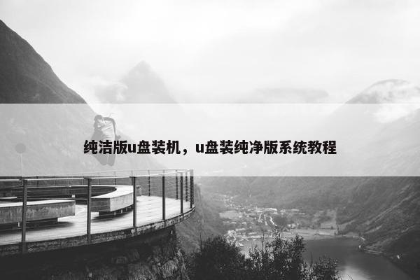 纯洁版u盘装机，u盘装纯净版系统教程