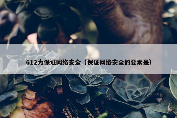 612为保证网络安全（保证网络安全的要素是）