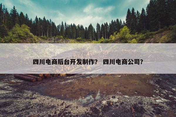 四川电商后台开发制作？ 四川电商公司？