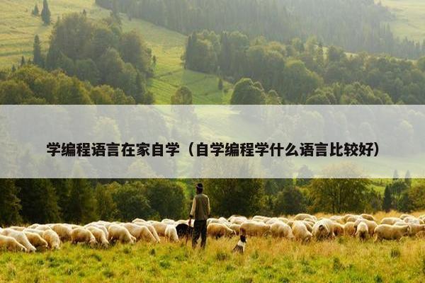 学编程语言在家自学（自学编程学什么语言比较好）