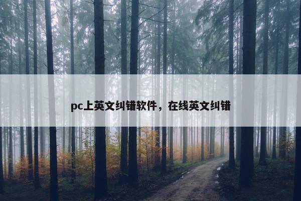 pc上英文纠错软件，在线英文纠错