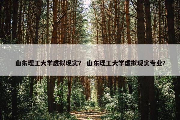 山东理工大学虚拟现实？ 山东理工大学虚拟现实专业？