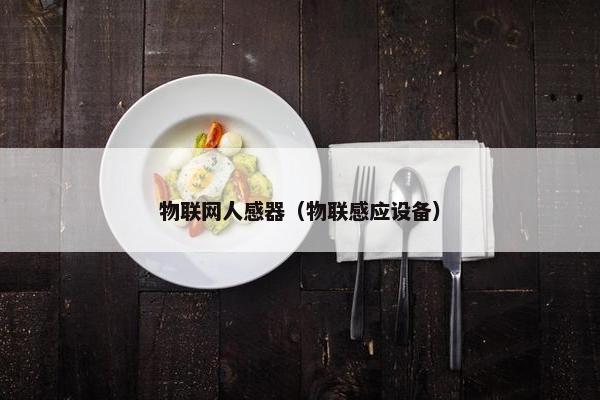 物联网人感器（物联感应设备）