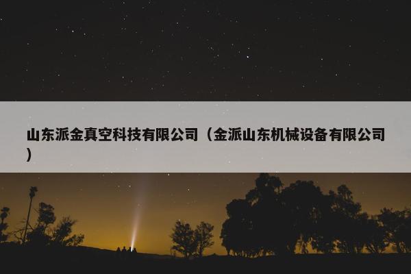 山东派金真空科技有限公司（金派山东机械设备有限公司）