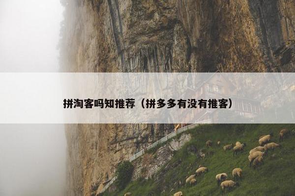 拼淘客吗知推荐（拼多多有没有推客）