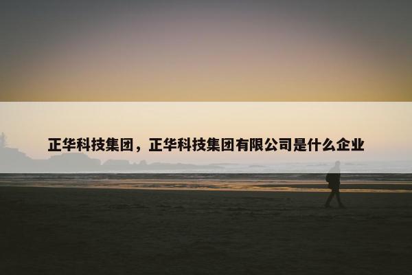 正华科技集团，正华科技集团有限公司是什么企业