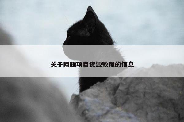 关于网赚项目资源教程的信息